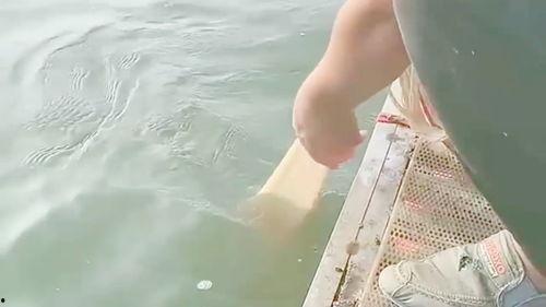 捕鱼吃瓜的成语,闲适生活，乐在其中