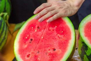 捕鱼吃瓜的成语,闲适生活，乐在其中