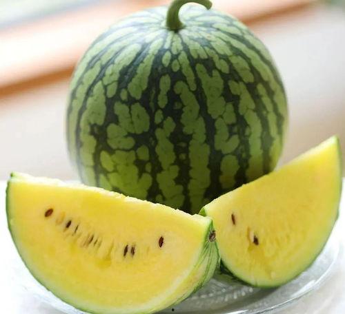 上海金山吃瓜头像,揭秘上海金山的独特魅力