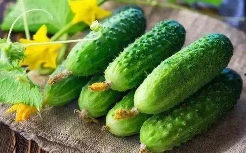 完美第一吃瓜,揭秘娱乐圈幕后真相