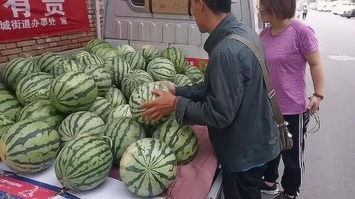 运城女的吃瓜,揭秘网络热议背后的真相与笑料