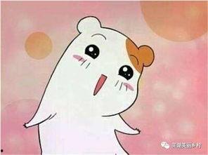 吃瓜福利123,带你领略瓜界盛宴