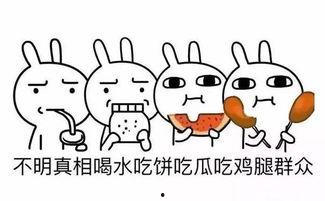 年度优秀吃瓜群众