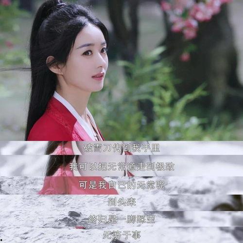 吃瓜每日追剧,揭秘热门剧集幕后故事