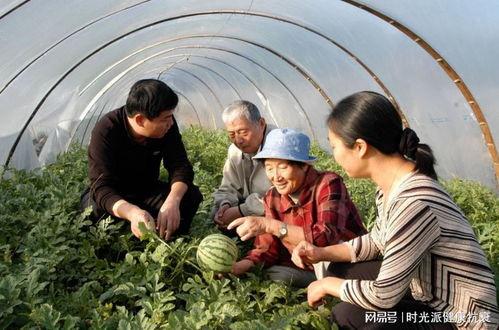 曹建华吃瓜,揭秘娱乐圈幕后真相
