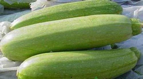 宝宝怎么吃茭瓜好呢,美味又健康的喂养指南