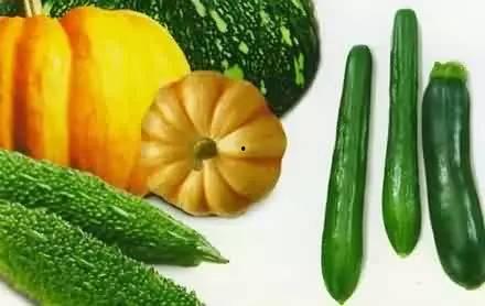 现在吃瓜有哪些,网络热议背后的真相与反思