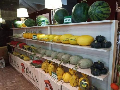 吃瓜娃娃成品,萌趣横生的美食之旅