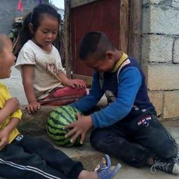 兄妹照吃瓜,揭秘娱乐圈兄妹照背后的秘密