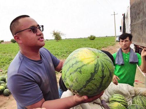 xfx吃瓜,揭秘娱乐圈背后的那些事儿