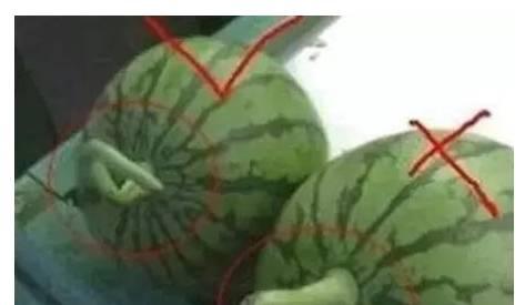 吃瓜有危险,警惕网络谣言的陷阱