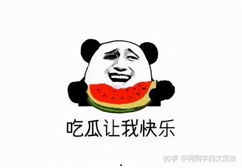 被吃瓜的文案,揭秘娱乐圈最新热点事件！