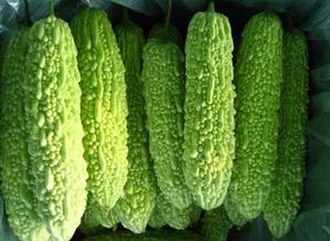 减肥吃瓜d,探索“减肥吃瓜”的神奇之旅