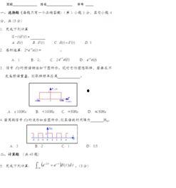 吃瓜系统试卷,趣味试卷背后的知识盛宴