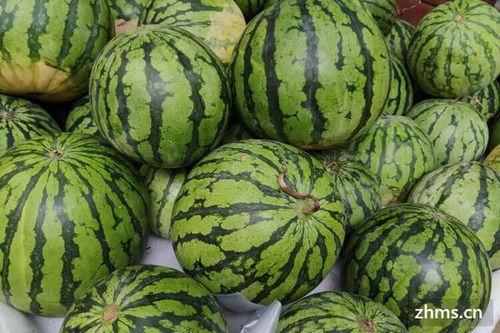 吃瓜是来自哪里