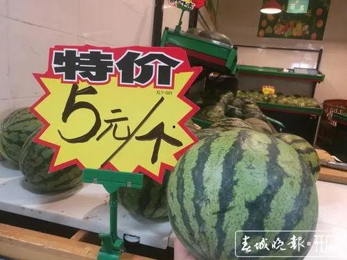 昆明吃瓜群,揭秘城市生活百态的“瓜田”