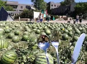 吃瓜群宣传视频,跟随宣传视频探寻娱乐八卦背后的真相