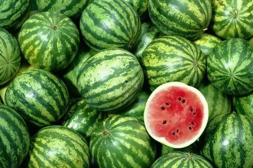 西瓜视频新颖吃瓜,解锁新颖“吃瓜”姿势，带你领略潮流娱乐新风尚