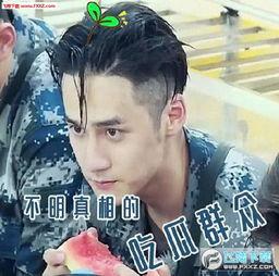 吃瓜群众今日吃瓜视频下载,下载瓜界新宠