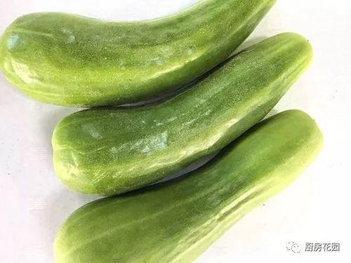 古人都怎么吃瓜,揭秘古人“吃瓜”的雅俗生活