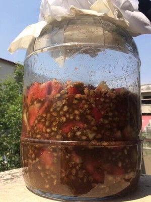 河南吃瓜酱豆,吃瓜酱豆的独特风味