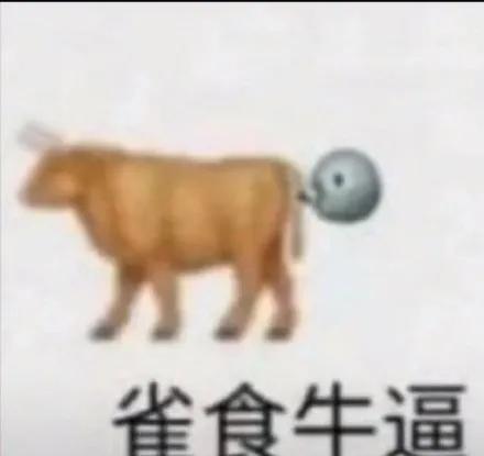 牛逼吃瓜,网络热词背后的文化现象