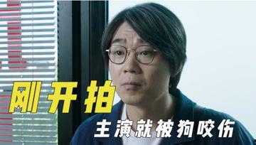 语音吃瓜君,吃瓜君带你领略娱乐圈风云变幻