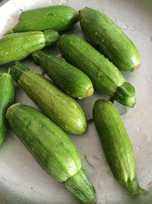 吃的角瓜,探寻传统与创新的完美融合